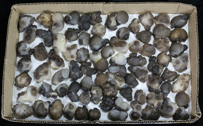 Natural Chalcedony Nodules (Wholesale Lot) - Pieces #61821